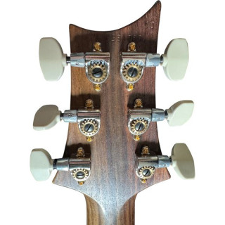 PRS Custom 24 Деревянная библиотека CobaltB PRS Custom 24 Wood Library CobaltB