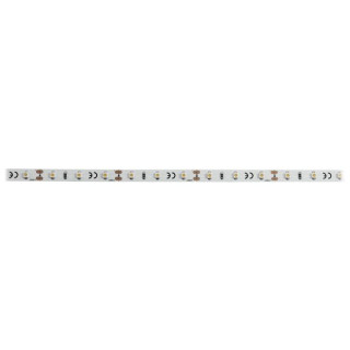 Светодиодная лента Eurolite LED Strip 5m 3000K 24V CC Eurolite LED Strip 5m 3000K 24V CC