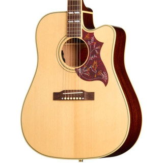 Epiphone Hummingbird Standard EC N Epiphone Hummingbird Standard EC N