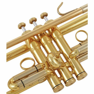 Ревизия Kühnl & Hoyer Bb-Труба Kühnl & Hoyer Revision Bb-Trumpet