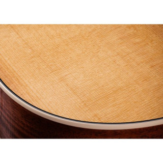 Тейлор Голд Лейбл 512е Taylor Gold Label 512e