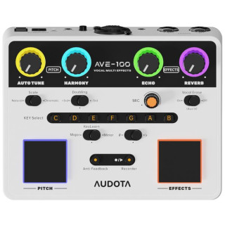 Audota AVE-100 Вокальные Мультиэффекты Audota AVE-100 Vocal Multi Effects