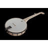 Связка банджо "Диринг Гудтайм" Deering Goodtime Banjo Bundle