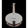 Связка банджо "Диринг Гудтайм" Deering Goodtime Banjo Bundle