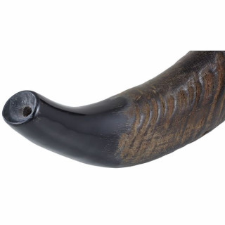 Горн Thomann Water Buffalo Horn Thomann Water Buffalo Horn