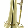 Антуан Куртуа AC551BHA бас-тромбон Antoine Courtois AC551BHA Bass Trombone