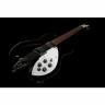Rickenbacker 330 JG Rickenbacker 330 JG