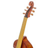 Рот и Джуниус - бас-виолончель, набор Барака Нормана Roth & Junius Bass Viol Set Barak Norman