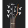 Бас-гитара Warwick Pro Series Thumb BO 5 Warwick Pro Series Thumb BO 5