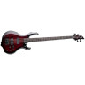 ESP LTD F-1004 ESP LTD F-1004