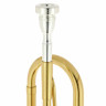 Труба Thomann ETR-3300L Eb/D Thomann ETR-3300L Eb/D Trumpet