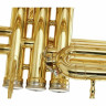 Эуфониум Thomann MEP-304L Bb-Marching Euphonium
