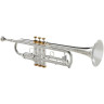 Труба Kühnl & Hoyer Spirit MAW Bb-Trumpet RL silv. Kühnl & Hoyer Spirit MAW Bb-Trumpet RL silv.