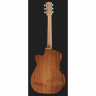 Электроакустическая гитара Maton EBW808C Blackwood Maton EBW808C Blackwood