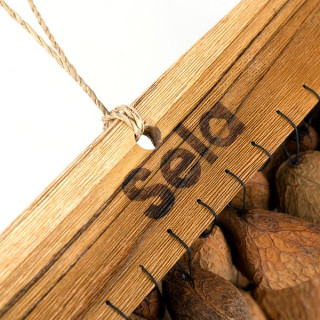 Села Сeed Chime Панги Sela Seed Chime Pangi