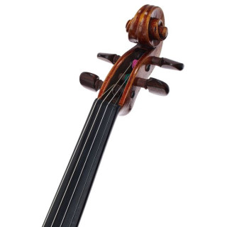 Скала Виладжио Ф.Х. Гварнери дель Г. Плауден Scala Vilagio F.H. Guarneri del G. Plowden