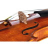 Наследие Конрада Гетца Кантонат 136 Скрипка Conrad Götz Heritage Cantonate 136 Violin