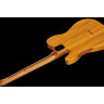 Электрогитара Harley Benton TE-52 NA Vintage Series Bundle №494321 (Комплект)