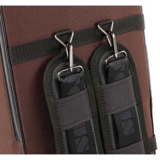 Артонус Джистон Профессиональная скрипка RR Artonus Geeston Pro Violin RR