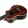 Укулеле Ibanez UEW13MEE-DBO Ibanez UEW13MEE-DBO
