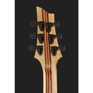 Schecter C-1 SLS Elite FR AFB Schecter C-1 SLS Elite FR AFB