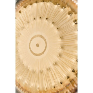 Реальный Гонг 24"/60 см Планета Гонг Солнце RealGong 24"/60cm Planet Gong Sun