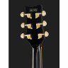 Полуакустическая гитара Ibanez JSM20-BKL Ibanez JSM20-BKL