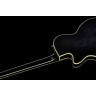 Полуакустическая гитара Duesenberg Starplayer TV CHG Duesenberg Starplayer TV CHG