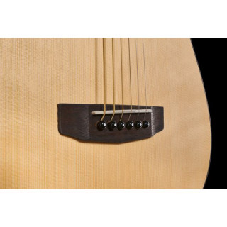 Cort Earth Mini Cort Earth Mini