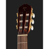 Такамин GC5CE Natur Набор №539052 Takamine GC5CE Natur Bundle №539052