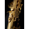 Сельмер Signature Soprano Sax SE-SSIL Selmer Signature Soprano Sax SE-SSIL