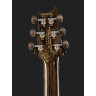 Полуакустическая гитара PRS Special 22 SH Private Stock CG PRS Special 22 SH Private Stock CG