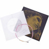 Pirastro Ева Пирацци Золотая пластинка G-SI Pirastro Evah Pirazzi Gold G-SI LP