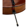 Виолончель Scala Vilagio PSH05 Solo Cello Guarneri Scala Vilagio PSH05 Solo Cello Guarneri