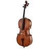 Виолончель Scala Vilagio PSH05 Solo Cello Guarneri Scala Vilagio PSH05 Solo Cello Guarneri