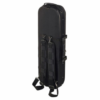 Фреска Артонуса Джистона VN Case C-M3Bc Artonus Geeston Fresco VN Case C-M3Bc