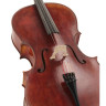 Скала Виладжио Скуола Итальяна виолончель Гварнери Scala Vilagio Scuola Italiana Cello Guarneri
