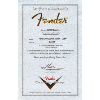 Крыло постмодернистской страты MN NAB Реликвия Fender Postmodern Strat MN NAB Relic