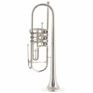 Петер Оберраух Венецианская труба Bb 11,05 SP Peter Oberrauch Venezia Trumpet Bb 11,05 SP