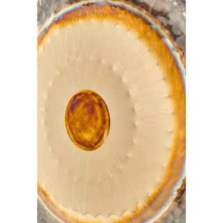 RealGong 36"/91cm Symphonic Gong GBC RealGong 36"/91cm Symphonic Gong GBC