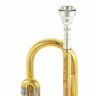 Труба Schagerl TR-610L Bb-Trumpet Schagerl TR-610L Bb-Trumpet