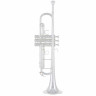 Труба Yamaha YTR-9335 CHS 05 Trumpet Yamaha YTR-9335 CHS 05 Trumpet