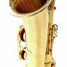 Саксофон Thomann CMS-600 L C- Melody Sax Thomann CMS-600 L C- Melody Sax