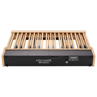 Viscount MIDI Bass Pedal 30 Light Oak