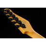 Godin Session R-HT Pro Ретро оранжевый Godin Session R-HT Pro Retro Orange