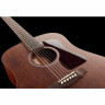 Гильдия D-20 Nat США Guild D-20 Nat USA