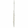 Перламутровые канавки Elegante PF-795 RBE Pearl Flutes Elegante PF-795 RBE