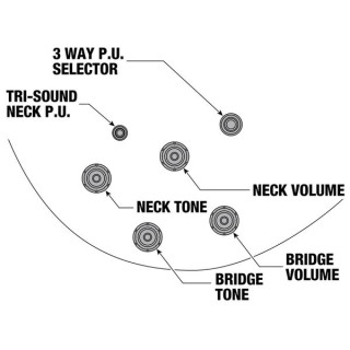 Ibanez AMH100FM-DVS Ibanez AMH100FM-DVS