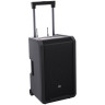 LD Системы ANNY 12 BPH 2 B5 LD Systems ANNY 12 BPH 2 B5