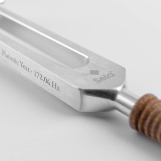Села Тунговая Вибрация Alu Платоновский год Sela Tuning Fork Alu platonic year
